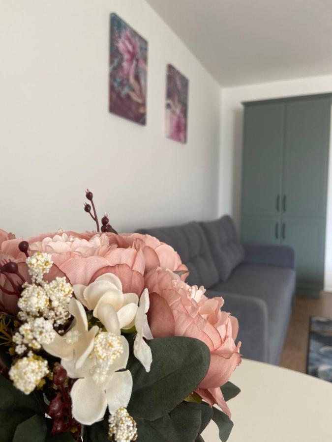 Focus Apartament Floresti  Ngoại thất bức ảnh